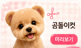 강아지 미용 주기 안내 이미지